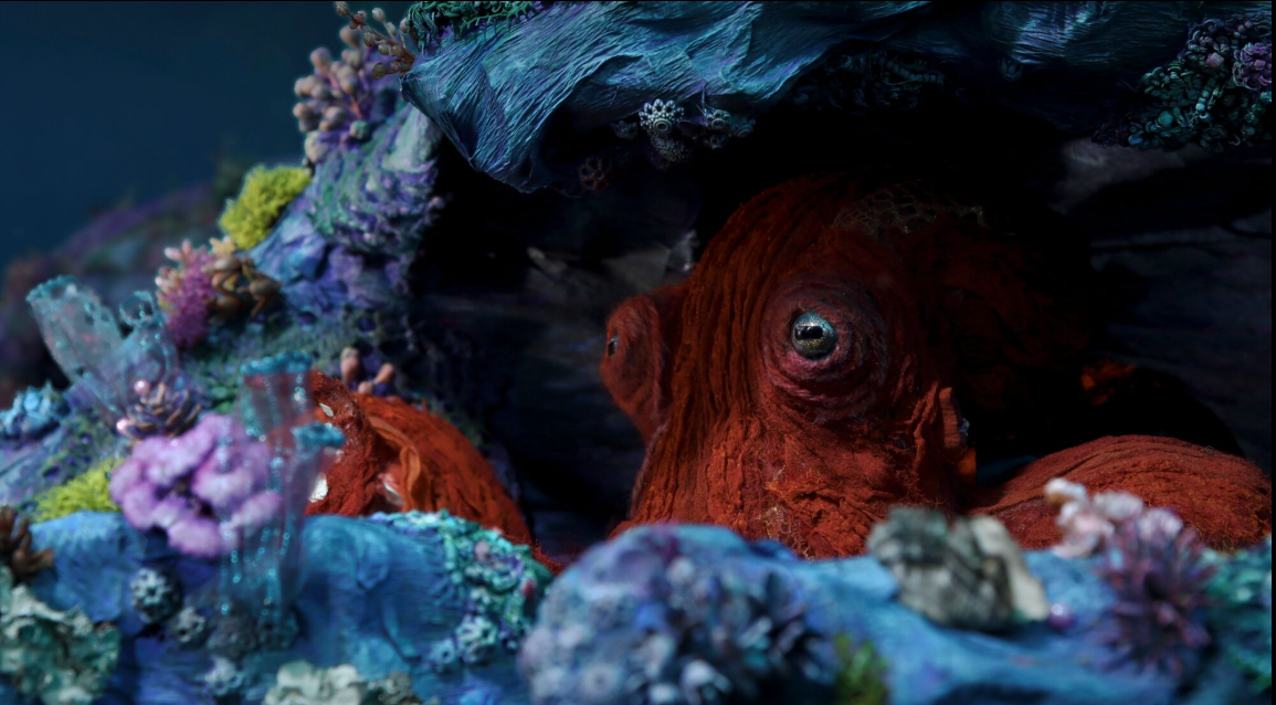 Can Octopuses Feel? Emotional Connections Explored in Octopus!