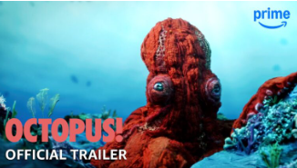 Can Octopuses Feel? Emotional Connections Explored in Octopus!